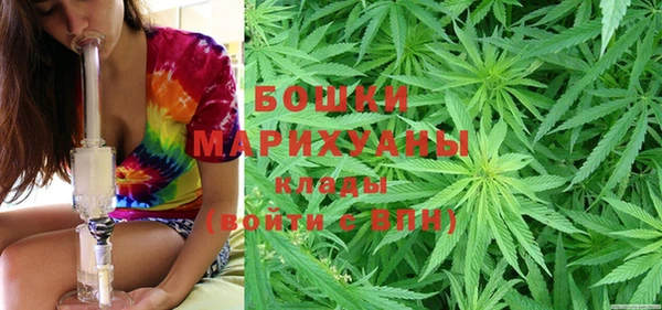 индика Лихославль