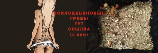 индика Лихославль