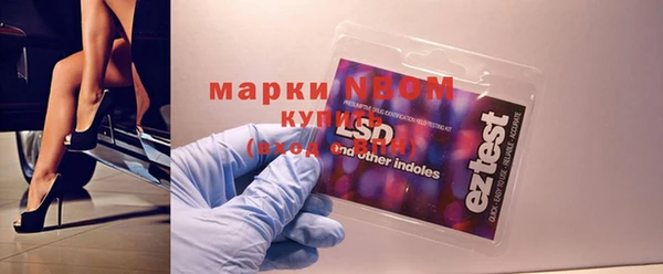 индика Лихославль