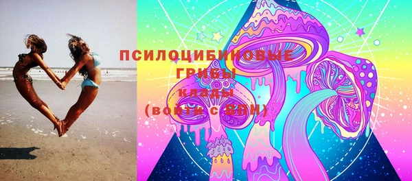 индика Лихославль