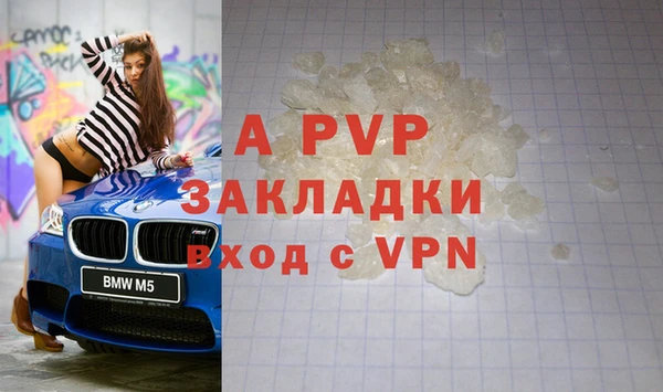 индика Лихославль