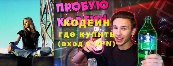индика Лихославль